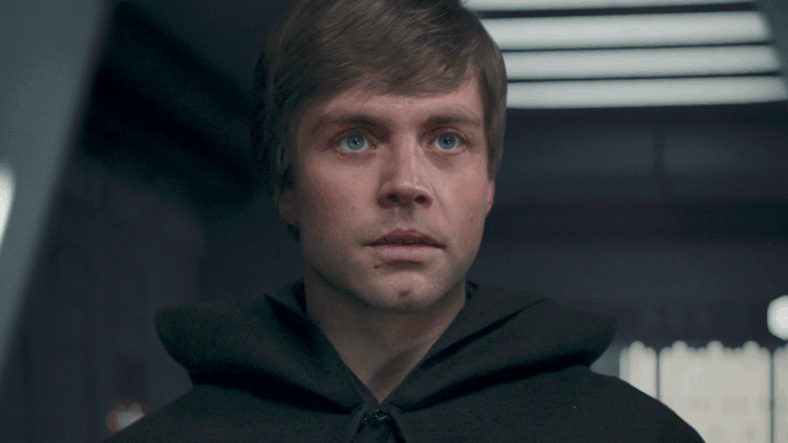 Luke Skywalker (Mark Hamill) invites Grogu (N/A) under his wing in The Mandalorian Season 2 Episode 8 "Chapter 16: The Rescue" (2020), Disney/Lucasfilm
