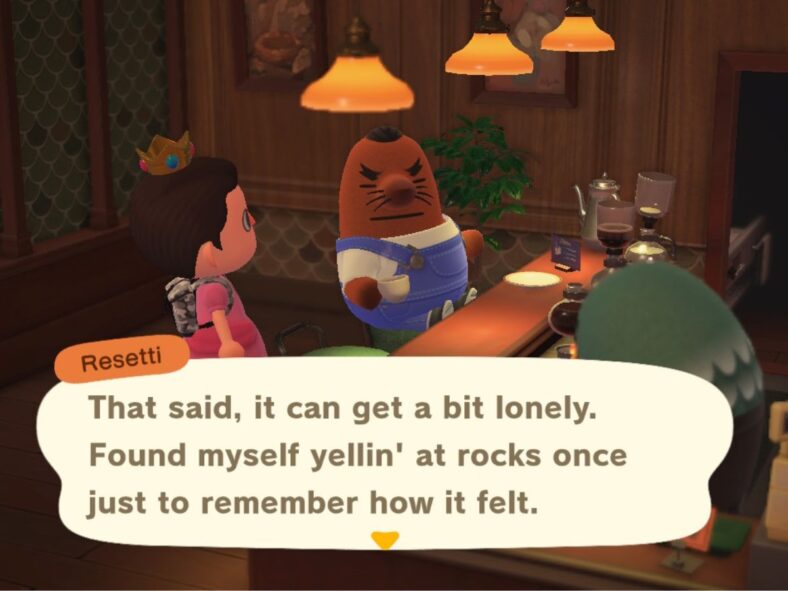 Animal Crossing New World, Nintendo, Screenshot via Google Images