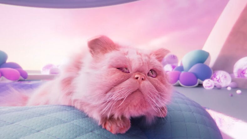 A bright pink cat barely reacts to whats about to fall in Catly (TBA), SuperAuthenti