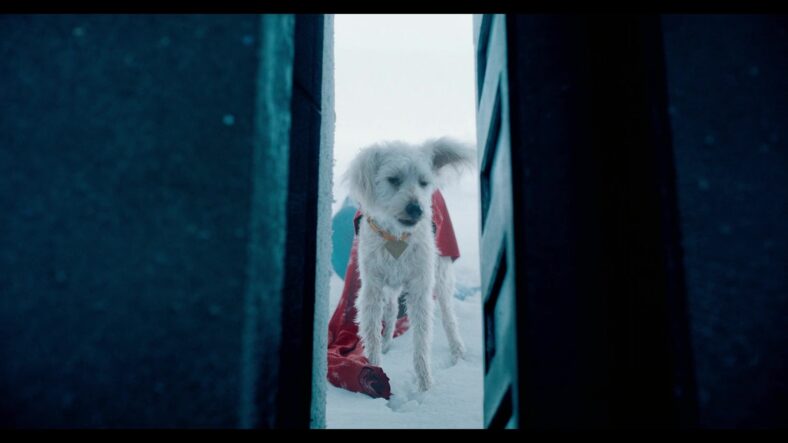 Krypto guessed the right password for entering The Fortress of Solitude in Superman (2025), DC Studios