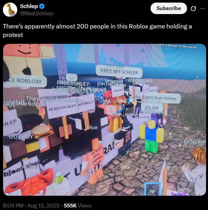 "There’s apparently almost 200 people in this Roblox game holding a protest" Schlep