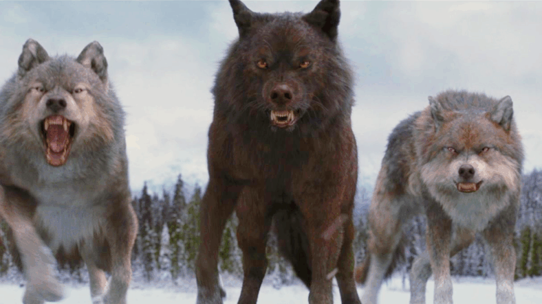 Jacob (Taylor Lautner) and his pack stand united against the Volturi in The Twilight Saga: Breaking Dawn - Part 2 (2012), Lionsgate